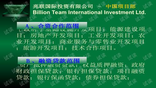 兆聯(lián)公司項目策劃與公關(guān)服務(wù)商業(yè)計劃書
